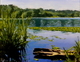 Deer Lake