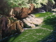 Capilano Canyon 2