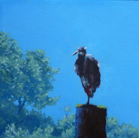 Bird on Post